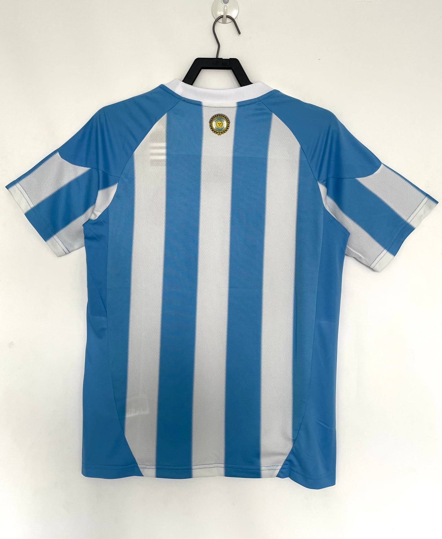 Argentina 2010 Home Kit