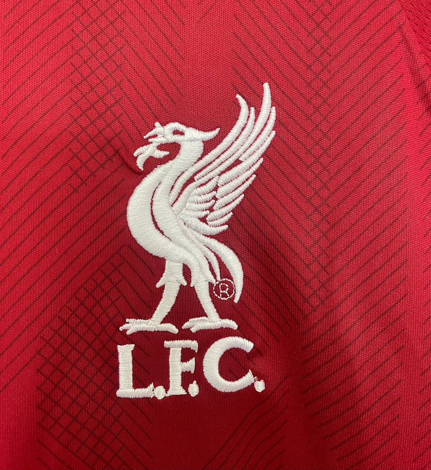 Liverpool FC 2018-19 Home Kit