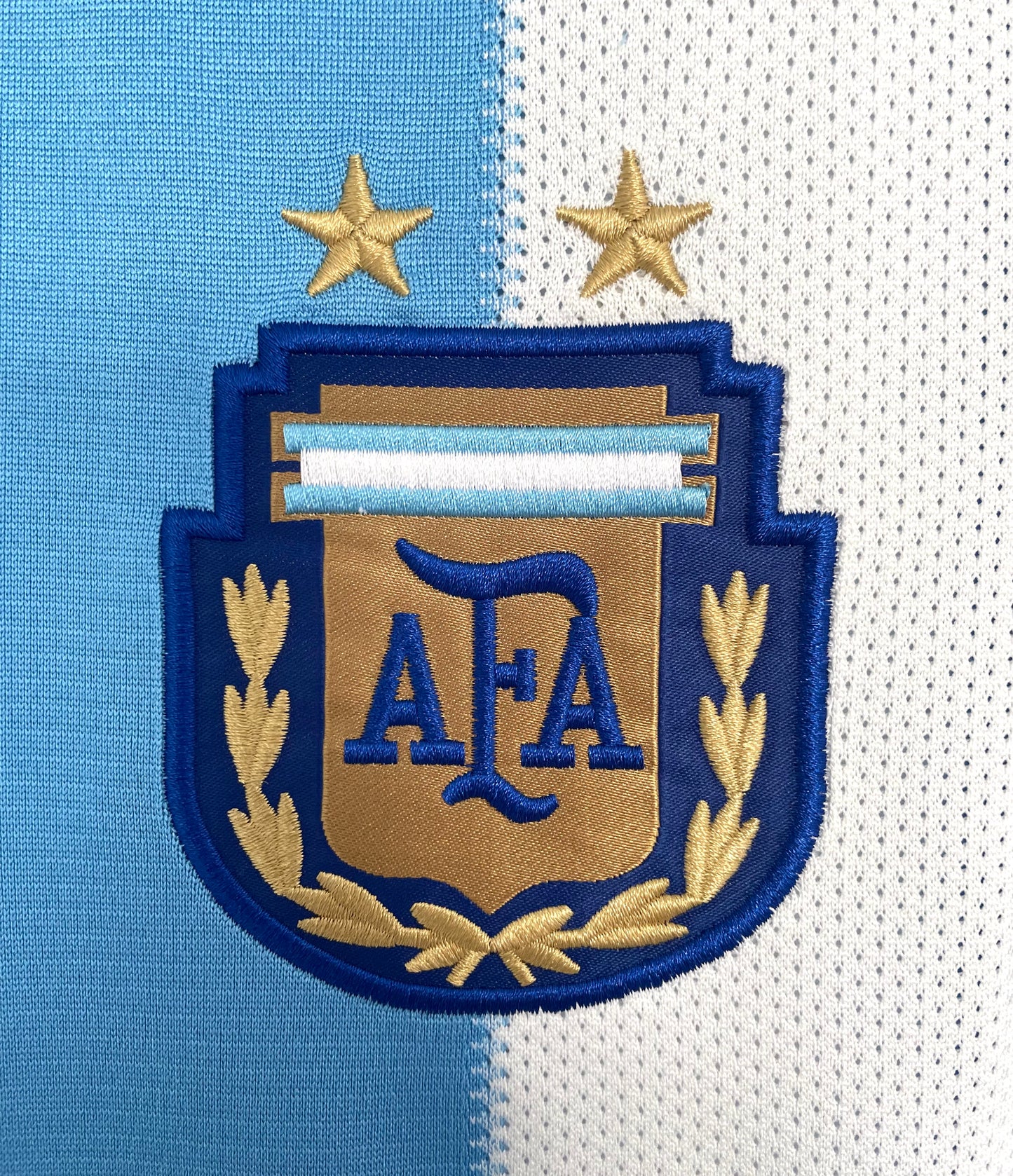 Argentina 2010 Home Kit