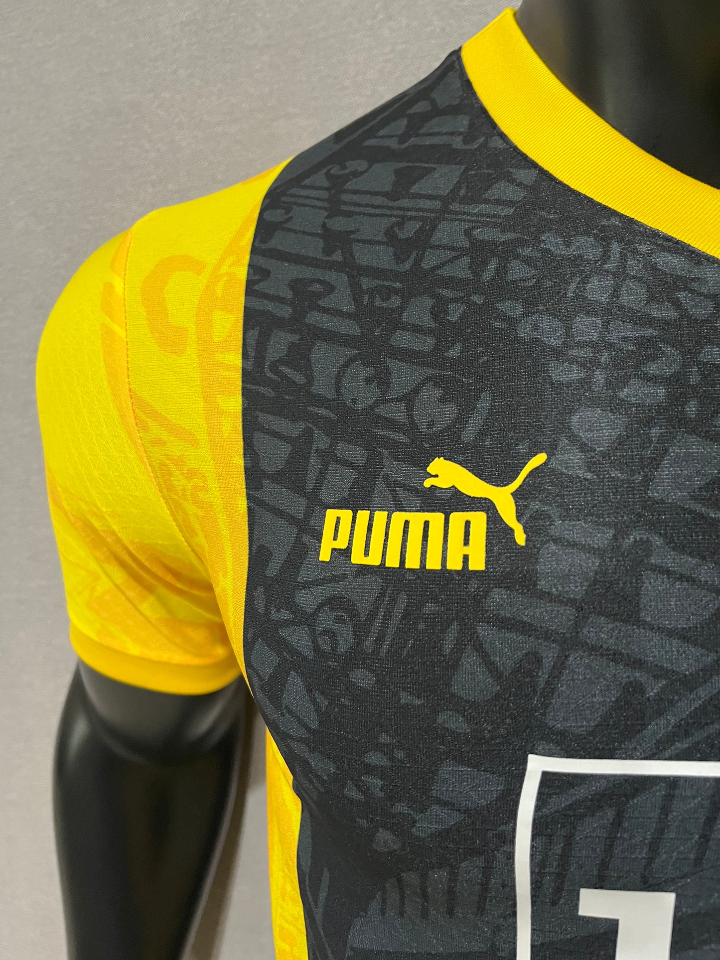 Borussia Dortmund 2024-25 Special Edition Kit